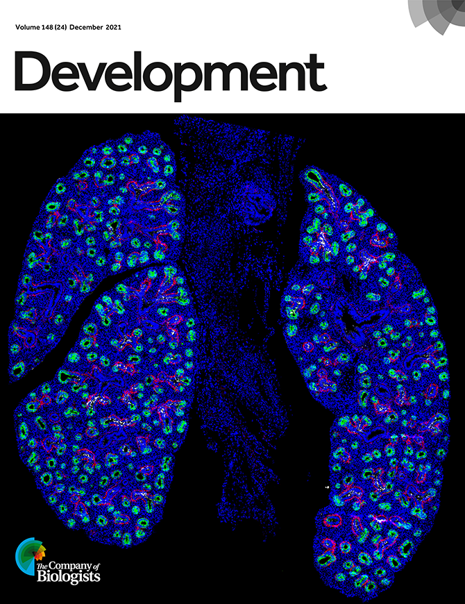 Development Journal Cover