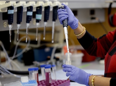 Medical lab worker