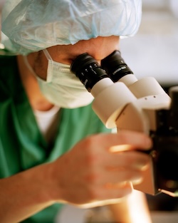 research scientist using a microscope