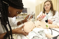 Developmental Medicine Research