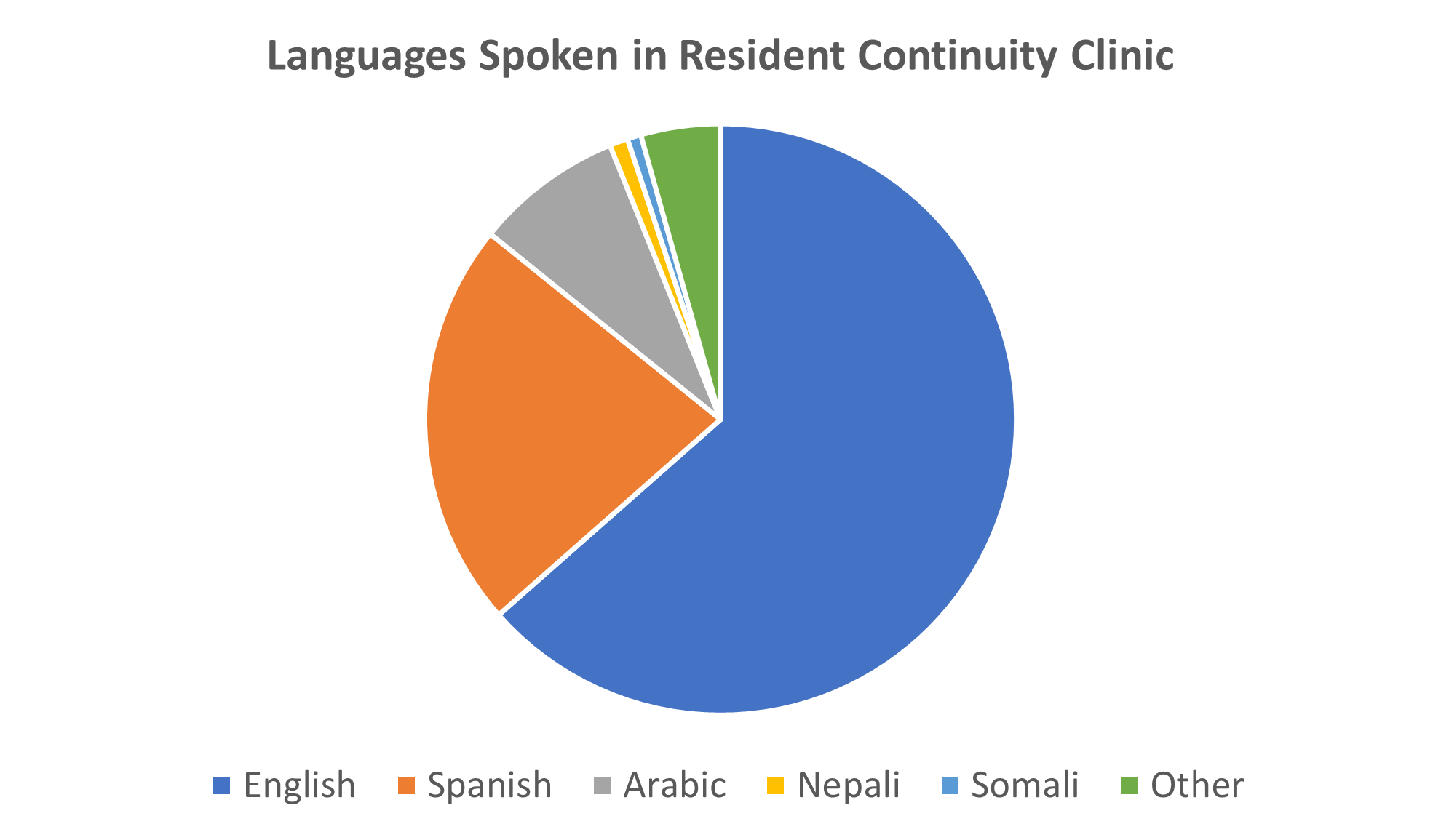 Languages Spoken Pie Chart