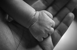 the hand of a newborn baby