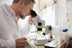 scientist looking through a microscope